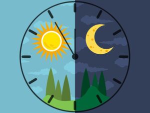 roszie biorhythm 9440413 1920