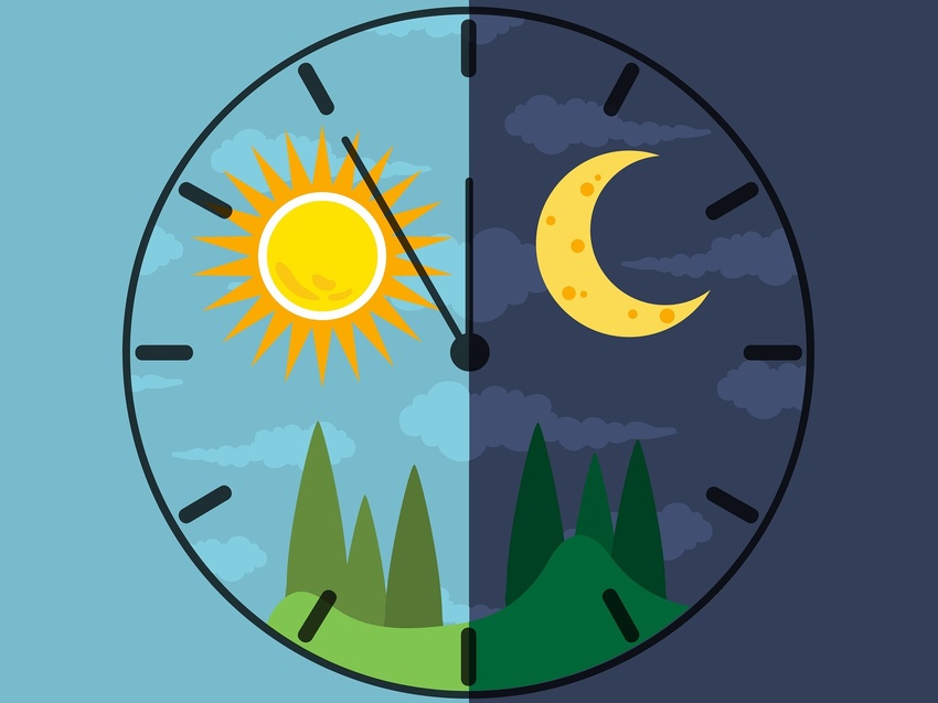 Optimizing Circadian Rhythms